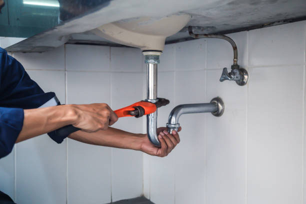 Best Clogged Drain Plumber  in Bridgetown, OH